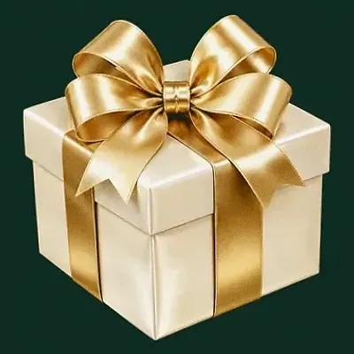 Ribboned gift box — Voltrush