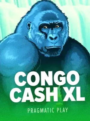 Congo Cash XL at Voltrush